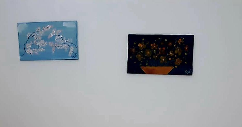 Home Flori&Vili Shkoder Luaran gambar